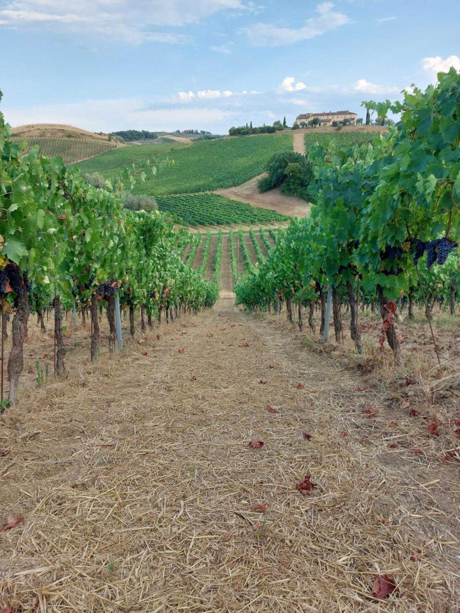 Agriturismo Corte In Poggio Stabbia Luaran gambar